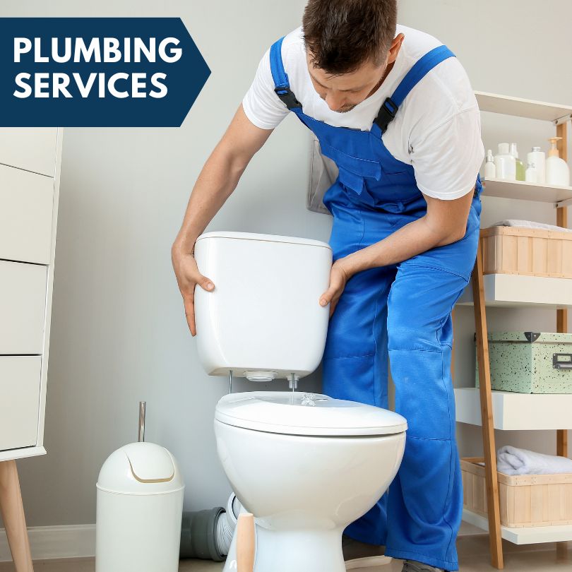 Plumbing Company in Breedsville, MI